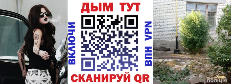 Бошки марихуана ГИДРОПОН  как найти наркотики  Павловский Посад 